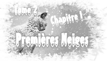 Chapitre I : Premières neiges